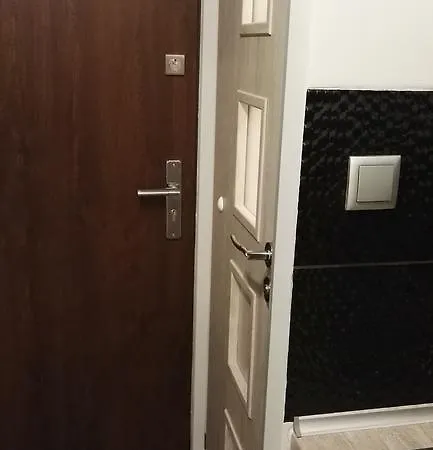 Mini Studio Stogi Plaza